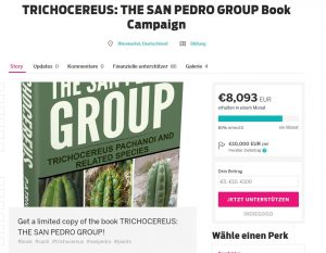 Trichocereus San Pedro Group